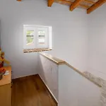 Pet Friendly In Ferienhaus *