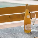 Pet Friendly In * Poreč