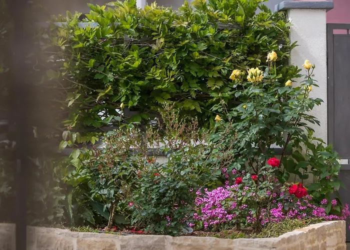 4 Bedroom Amazing In * Πόρετς